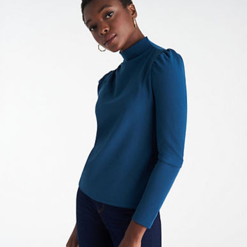 Long Sleeve Mock Neck Long Sleeve Top NWT